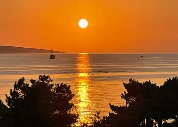 Sea View Dolphin Mandre