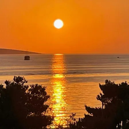Sea View Dolphin Mandre